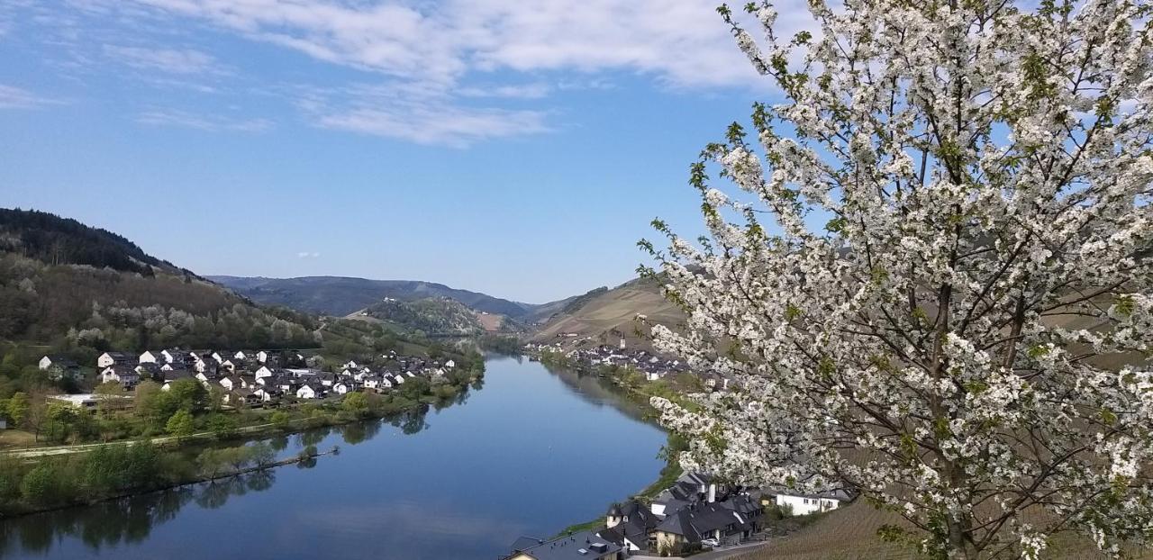 Mosel-Appartements Nehren Zell an der Mosel Esterno foto